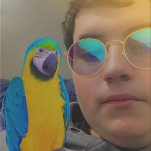 Meet your Posher, Micah